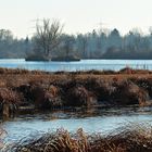 Weitmannsee im Dezember