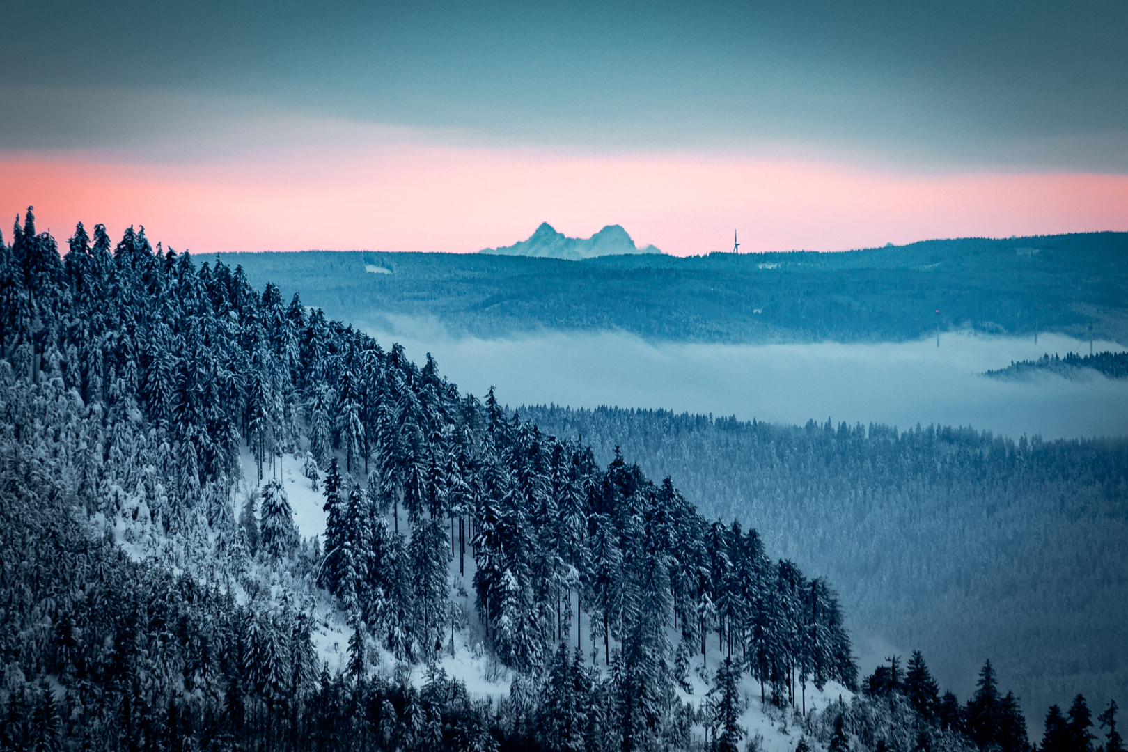 Weitsicht Schwarzwald bis zu den Alpen