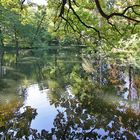 "Weitwinkelidylle" im Park bei den Elbeschlössern