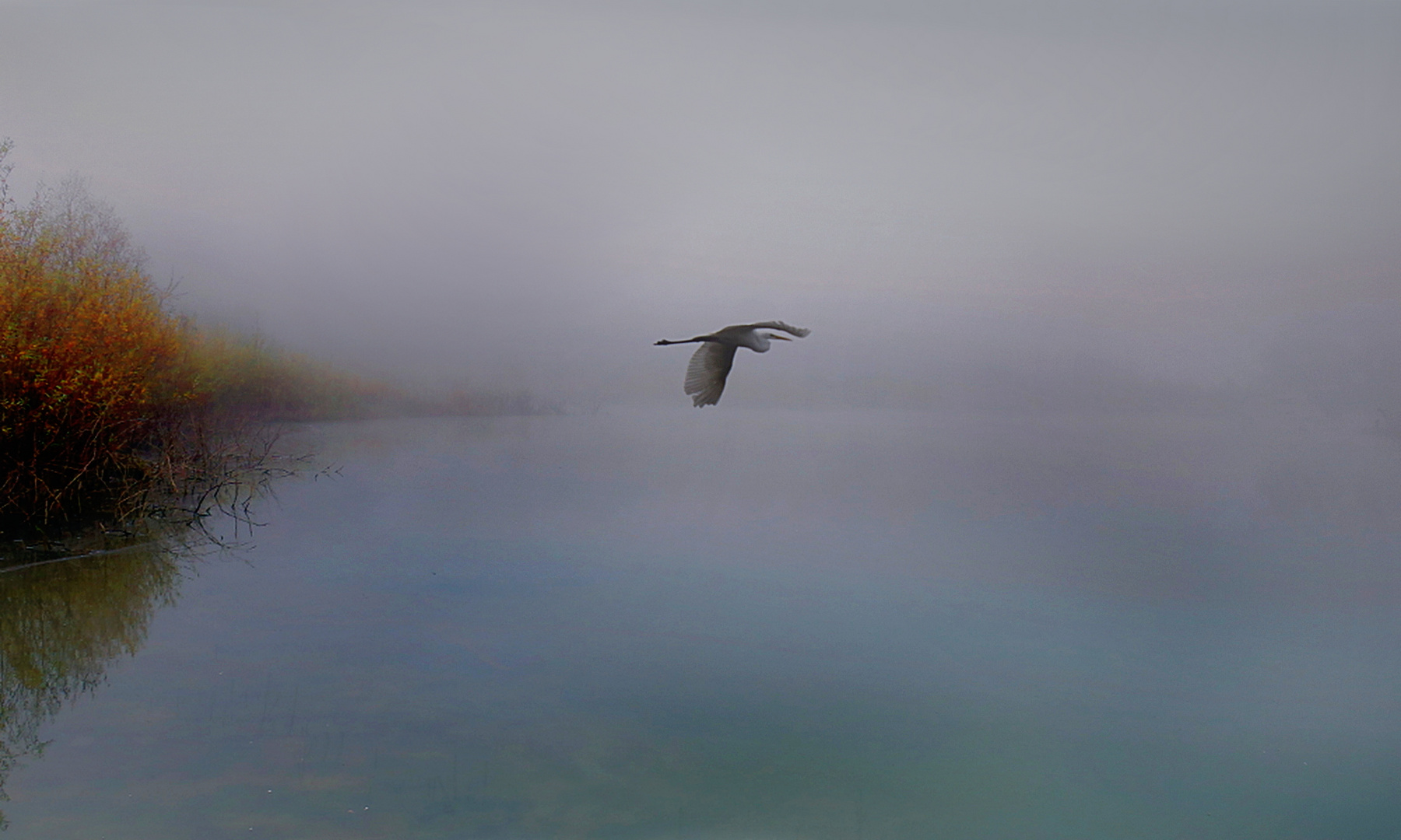 Weitwörth im Morgennebel