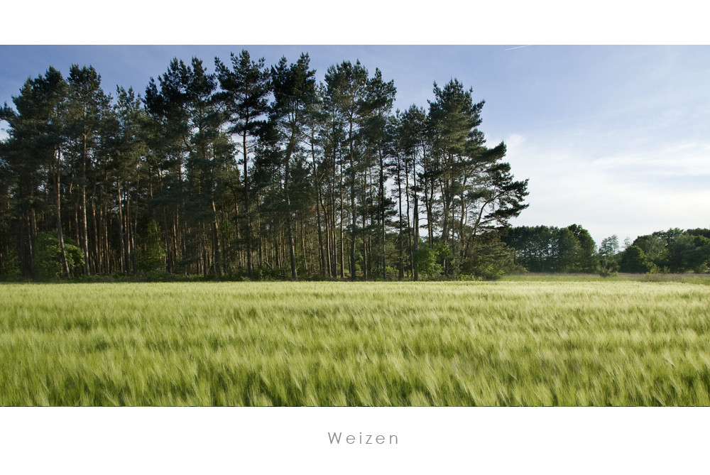 Weizen