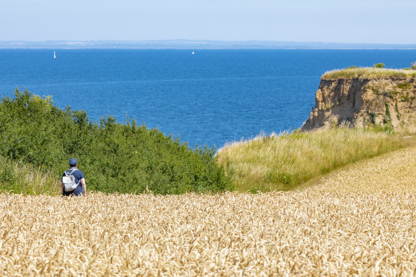 Weizen am Meer