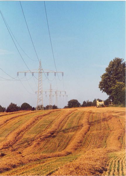 Weizenernte im Ruhrgebiet