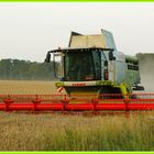 Weizenernte mit Lexion 750 