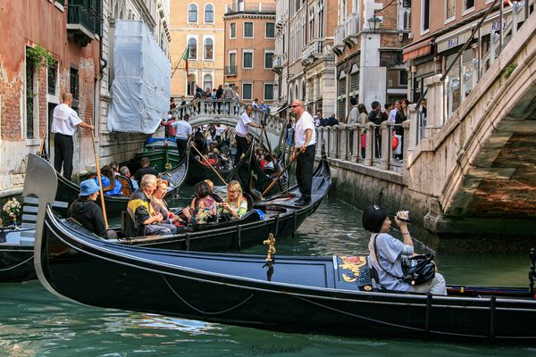 Welch ein Glück,keine verwackelte Aufnahmen...