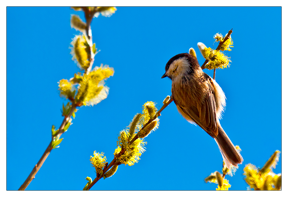 Welch ein sonniger Ausblick