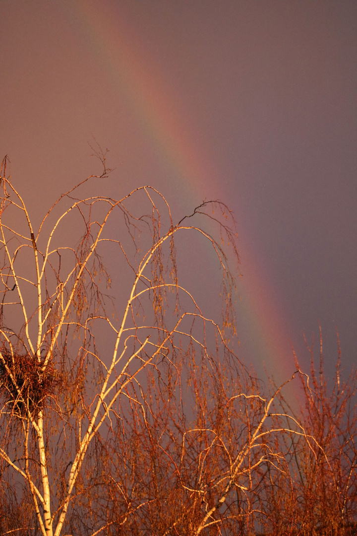 Welch seltsame Farben am Himmel