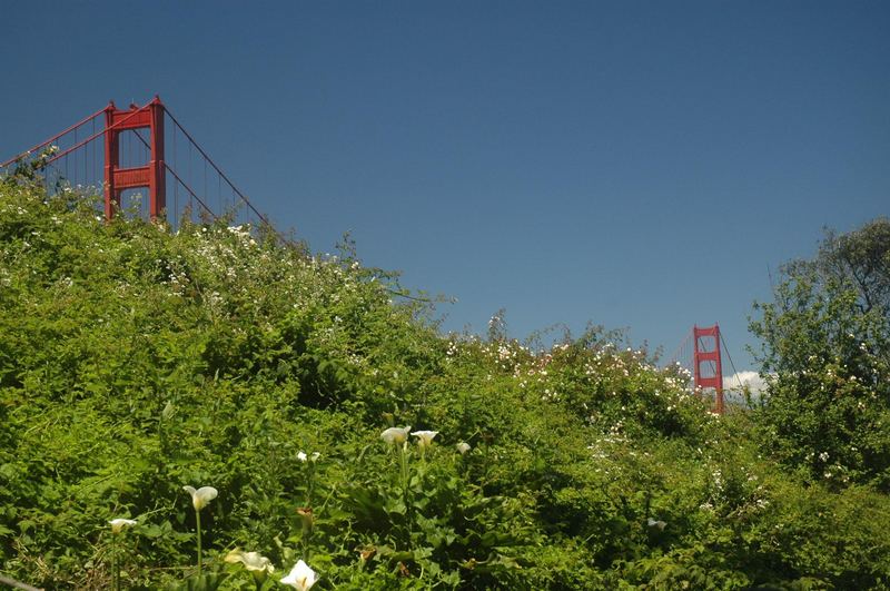 Welche Brücke mag das wohl sein?