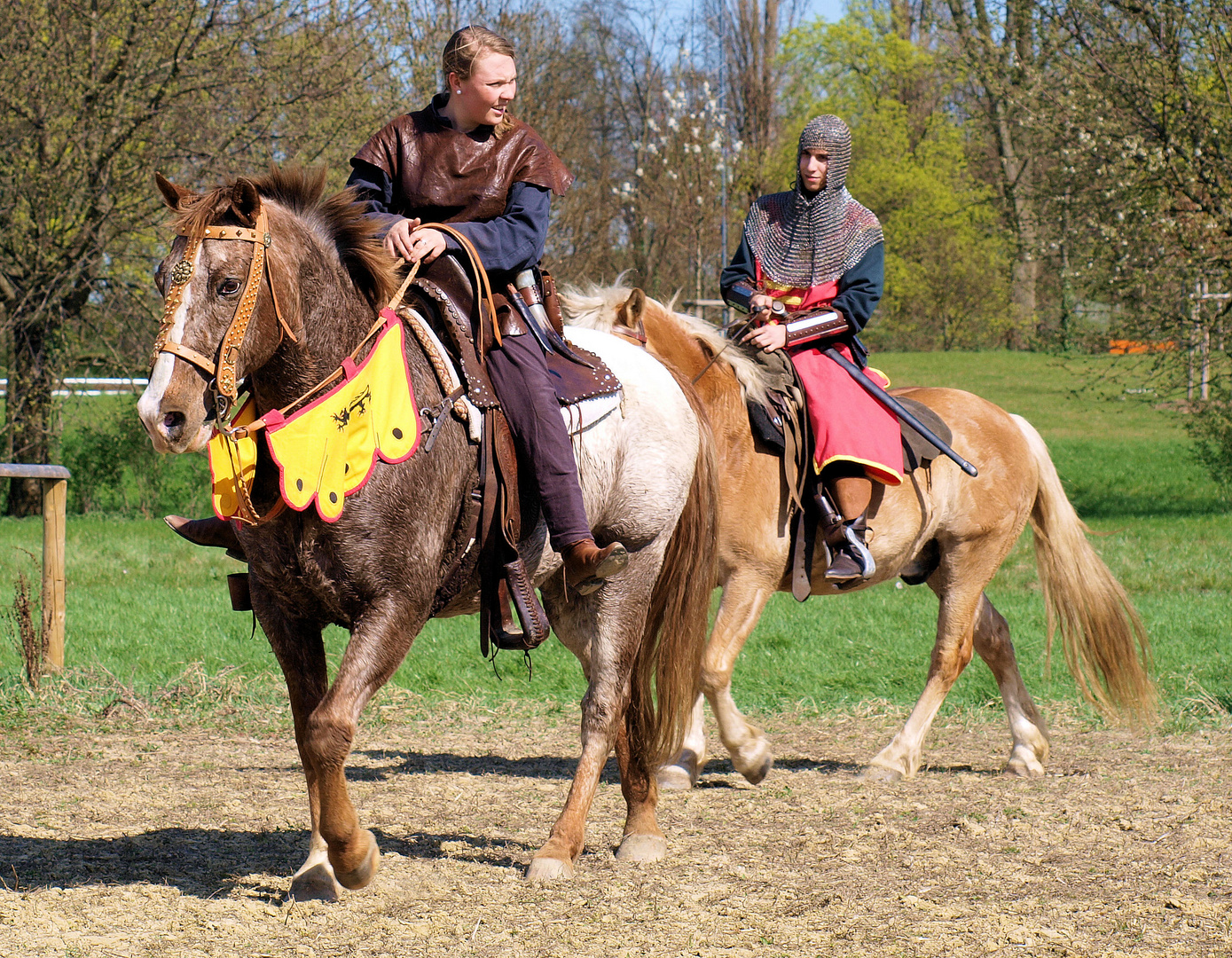 Welche Rasse ist das erste Pferd?