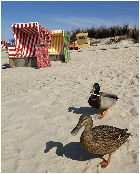 Welchen Strandkorb hättest du denn gerne?