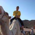 welches camel freut sich mehr :)