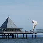 Welches ist die schönste Seebrücke auf Usedom? 