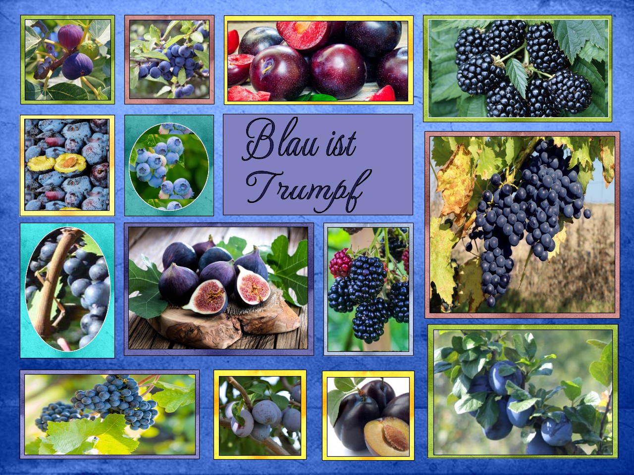 welches Obst ist blau 