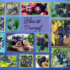 welches Obst ist blau 