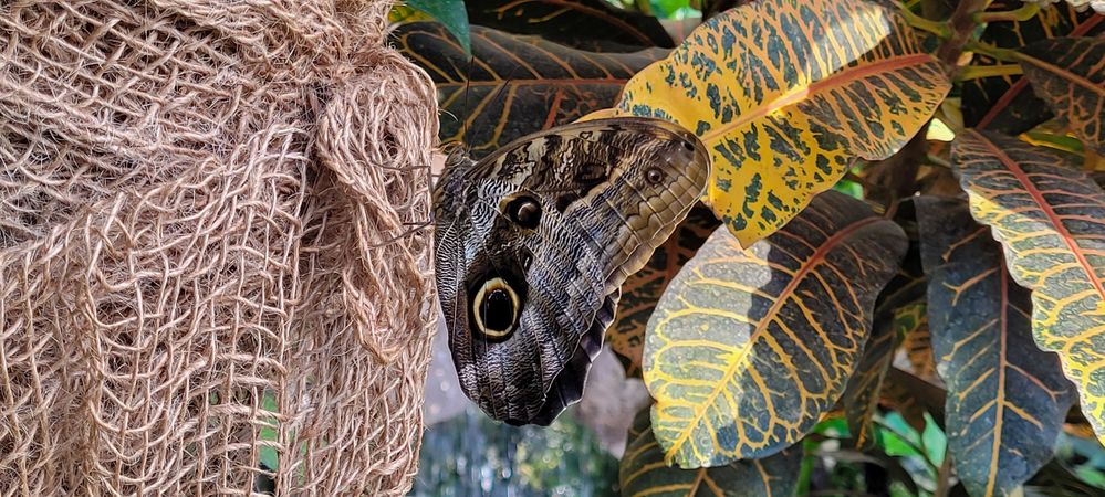 Welches Tier Siehst Du In Mir Foto Bild Tiere Wildlife wenn-du-blau-siehst-bist-du-in-gefahr-youtube