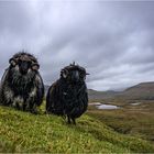 Welcome at Faroe Islands...