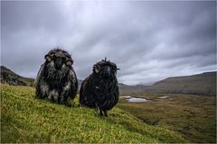 Welcome at Faroe Islands...