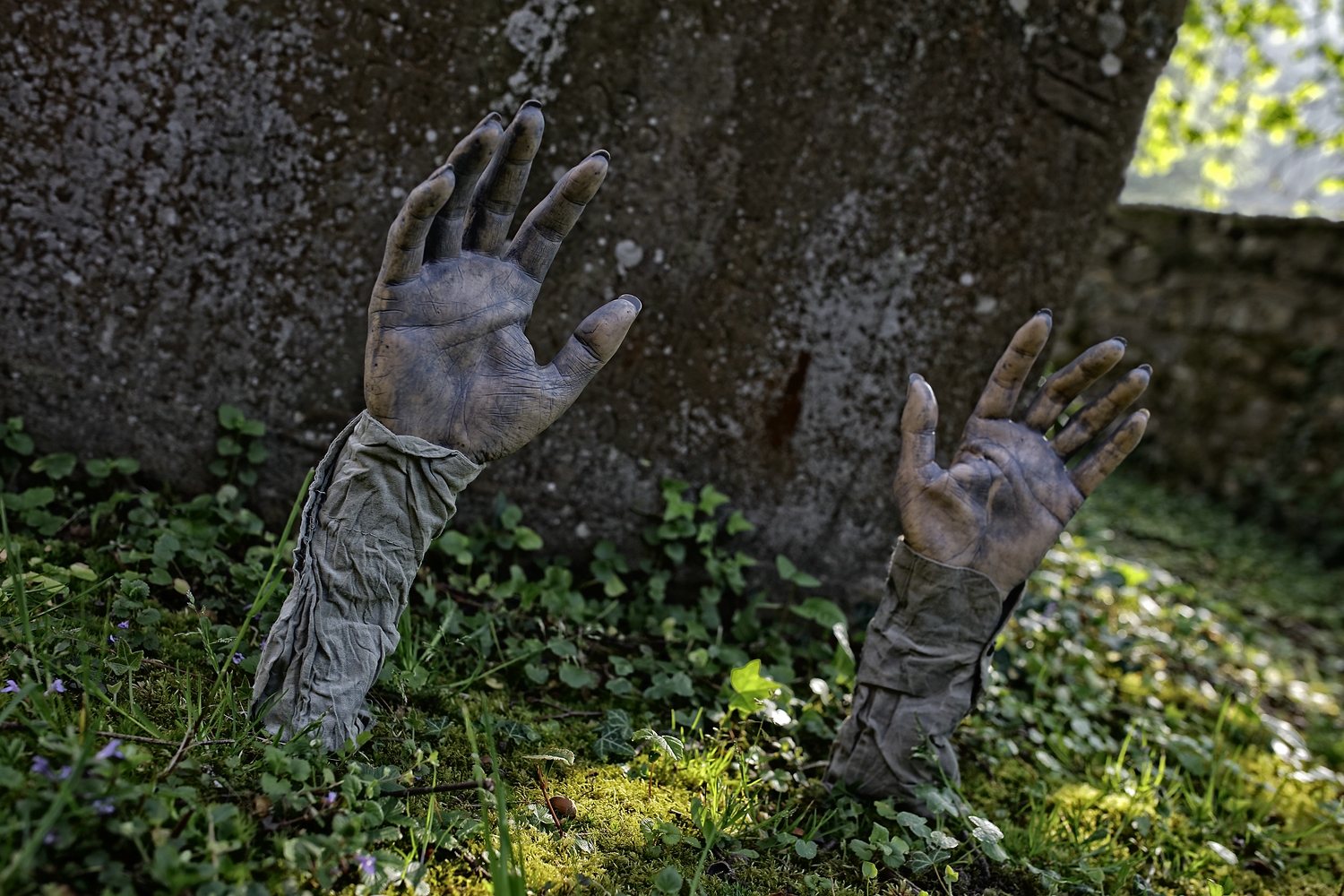 welcome back.  [Zentralfriedhof Nord]