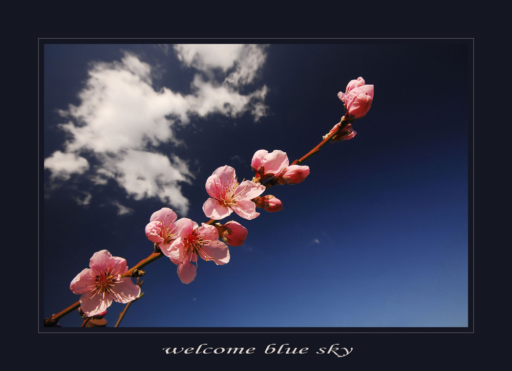 Welcome blue sky