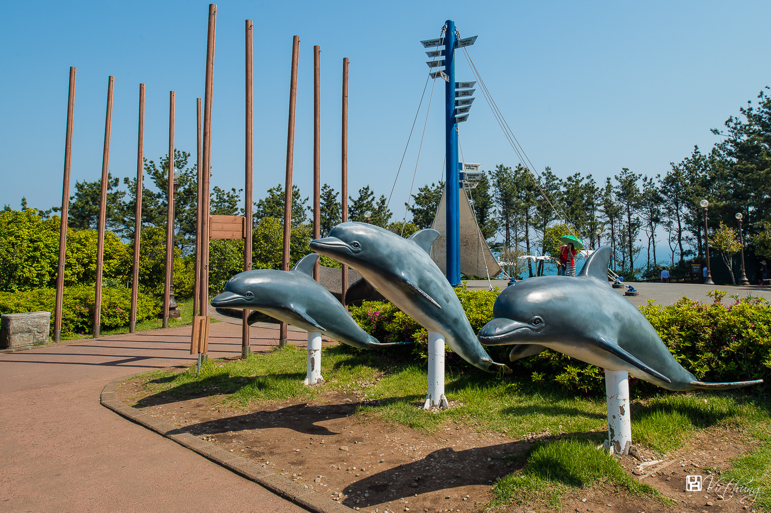 Welcome dolphin in Jeju