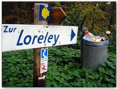 Welcome III - diesmal von der Loreley