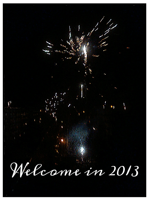 Welcome in 2013