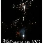 Welcome in 2013