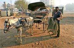 ..welcome Mr. in Amritsar...i bring you to the Golden Tempel