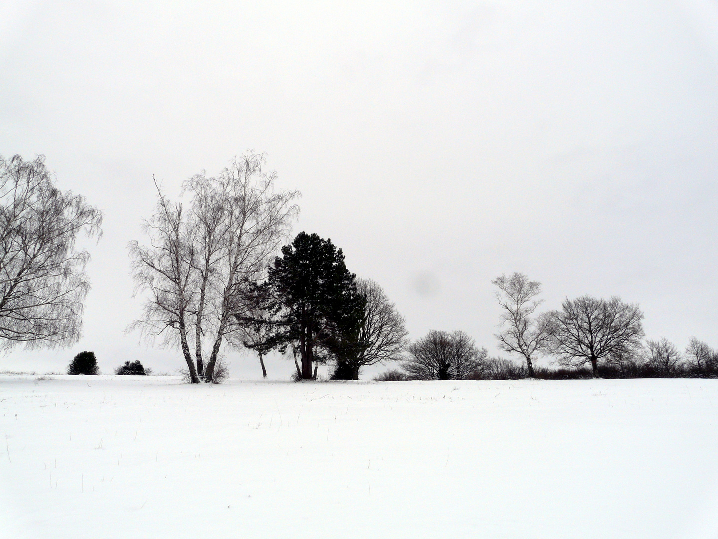 Welcome snow