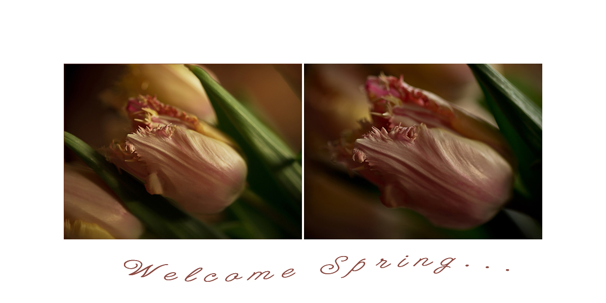 Welcome spring.....