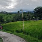 Welcome to Belulang hot springs