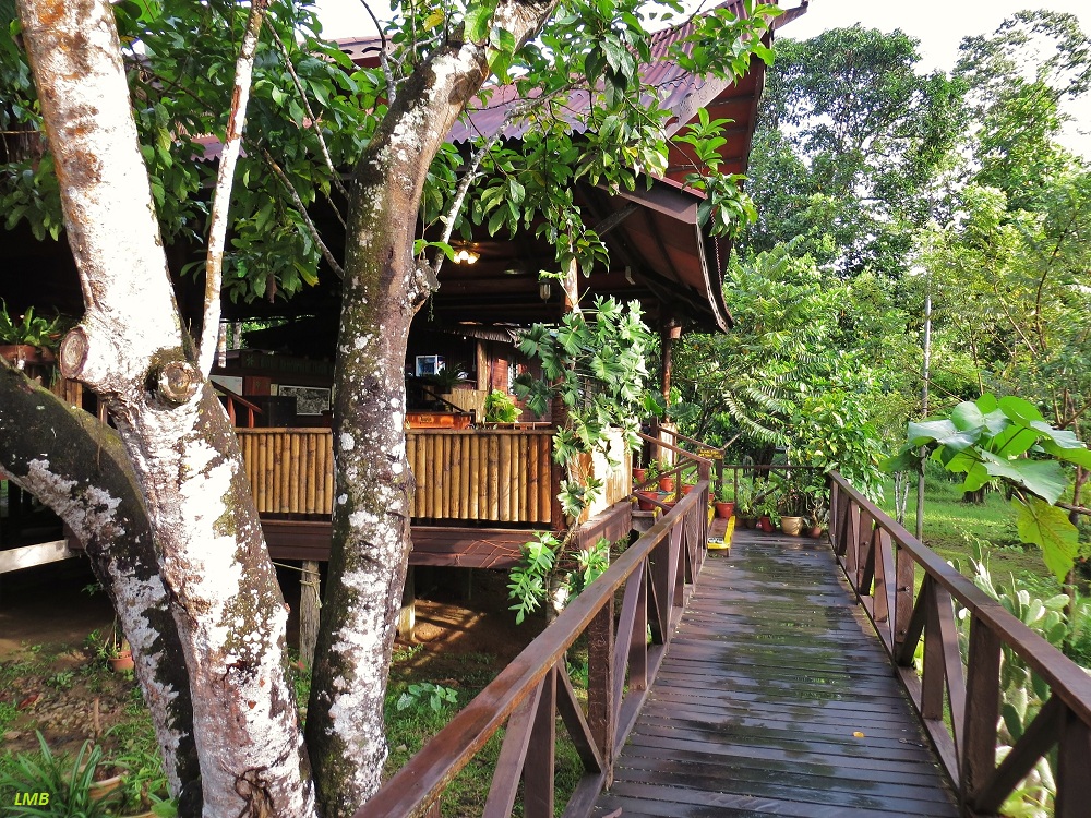 Welcome to Bilit Rainforest Lodge