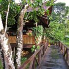 Welcome to Bilit Rainforest Lodge