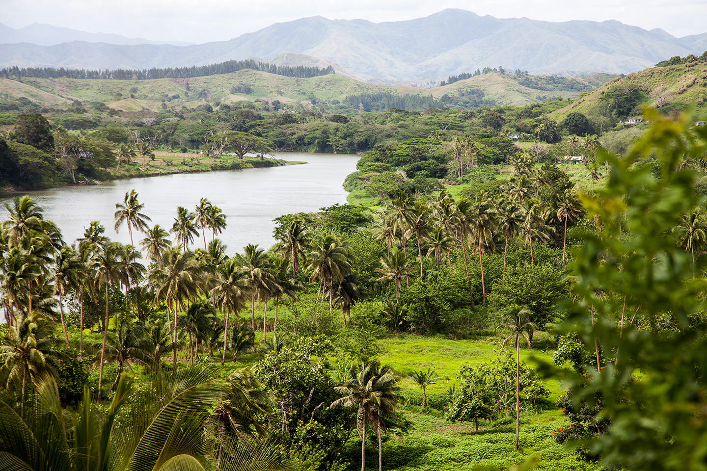 Welcome to Fiji