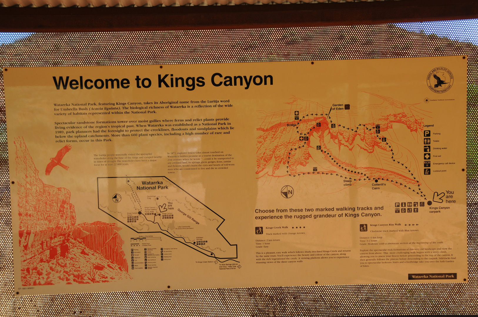 Welcome to Kings Canyon