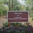 Welcome to Lamanai