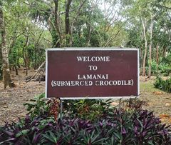 Welcome to Lamanai