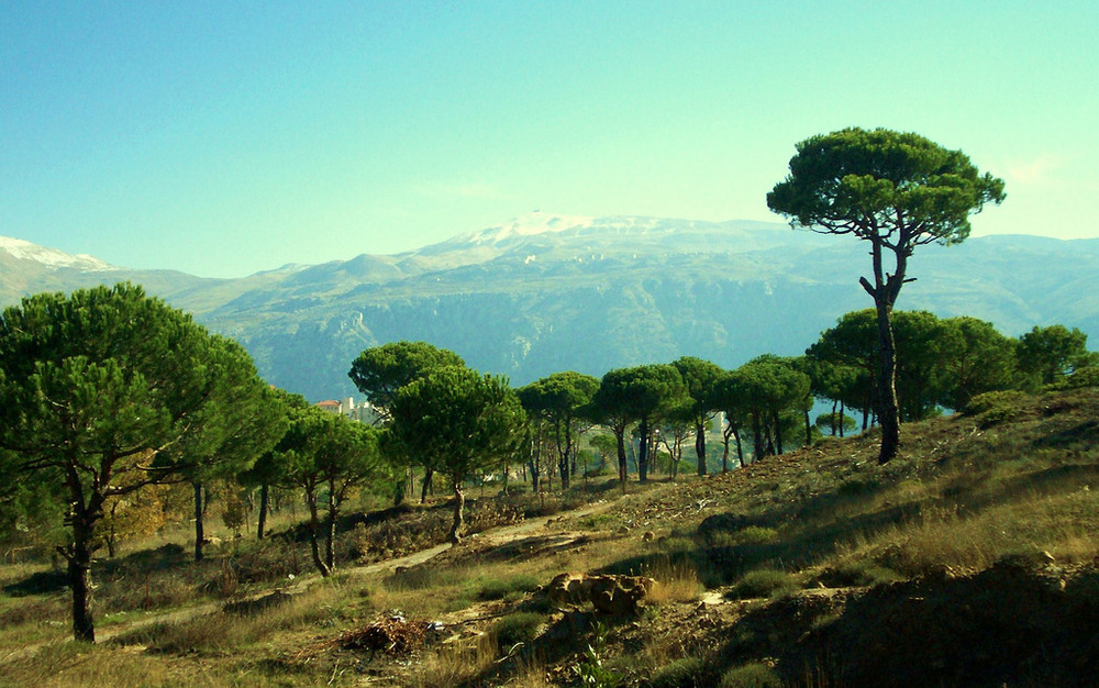 Welcome to Lattakia- Syria