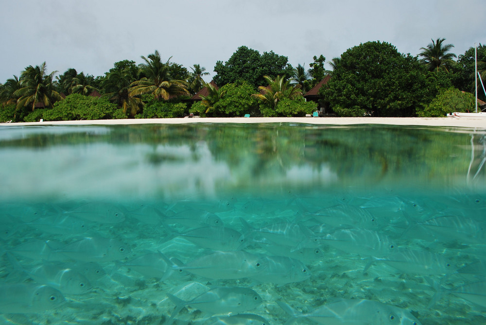 * Welcome to paradise (Malediven, maledives) "