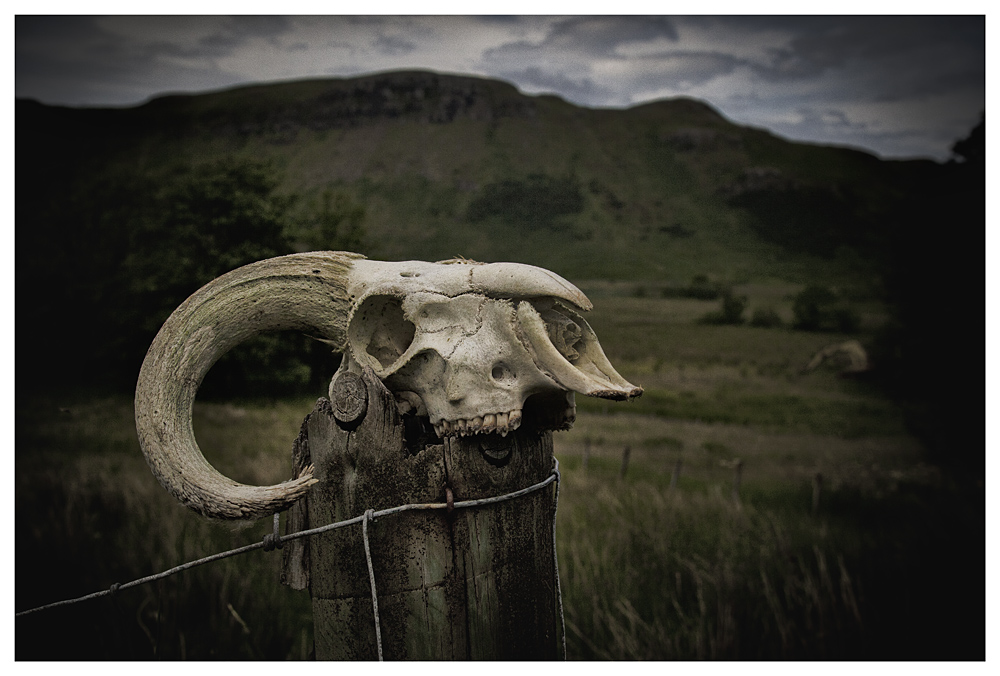 welcome to talisker bay