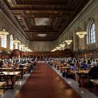 Welcome to The New York Public Library