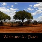 Welcome to Tsavo