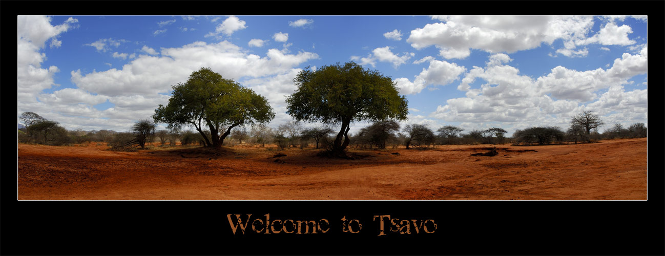 Welcome to Tsavo