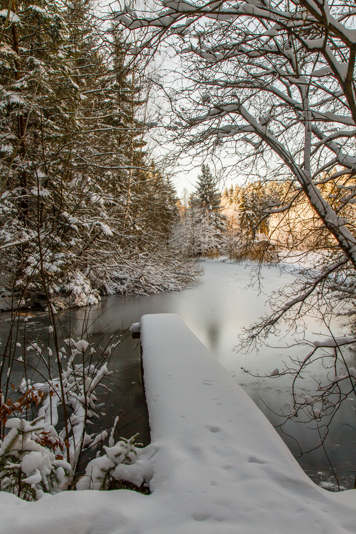 Weldener Weiher