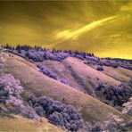 weldon trail I - altes klickitat indianer reservat auf der washington side des columbia rivers