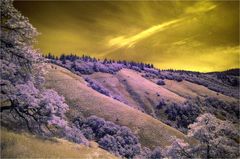 weldon trail I - altes klickitat indianer reservat auf der washington side des columbia rivers