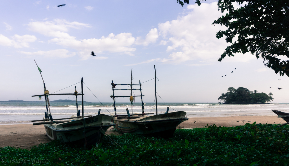 Weligama boats