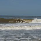 Welle am Strand von Julianadorp aan Zee