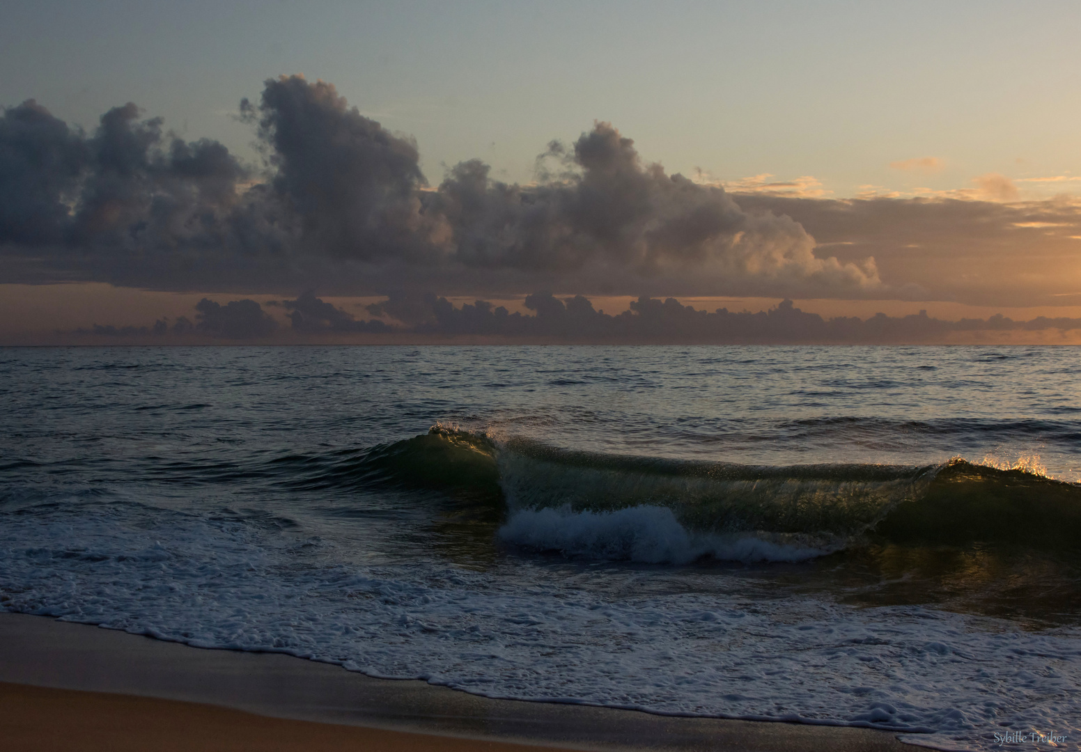 Welle im Abendlicht