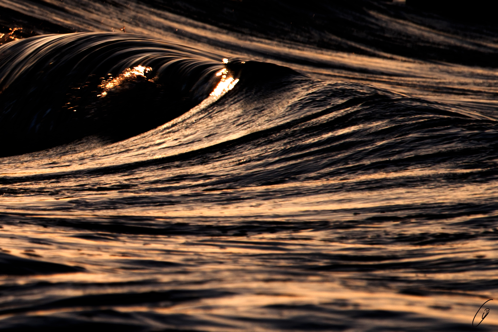 Welle in der Abendsonne